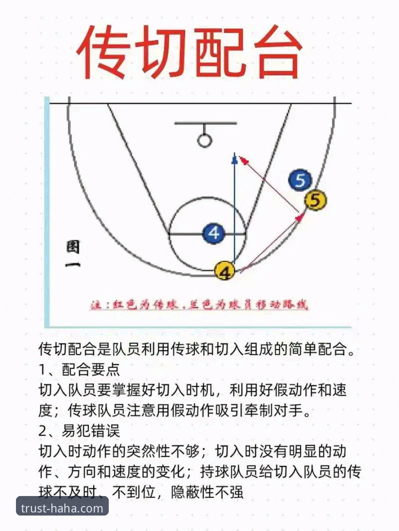 haha体育正版下载全流程深度分析：从新手到高手的实战指南