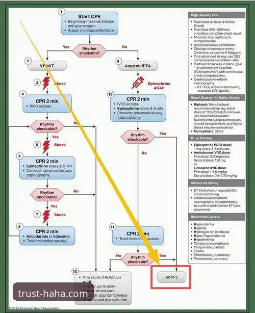 2026haha体育平台全面评测：从下载到赔率分析的深度使用教程